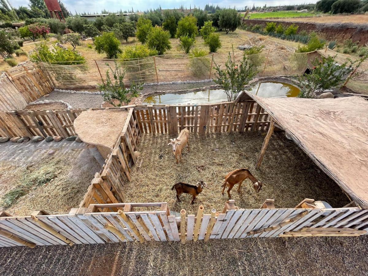 Maison hôte Jnan Lotf Marrakech El Harkat Exterior foto